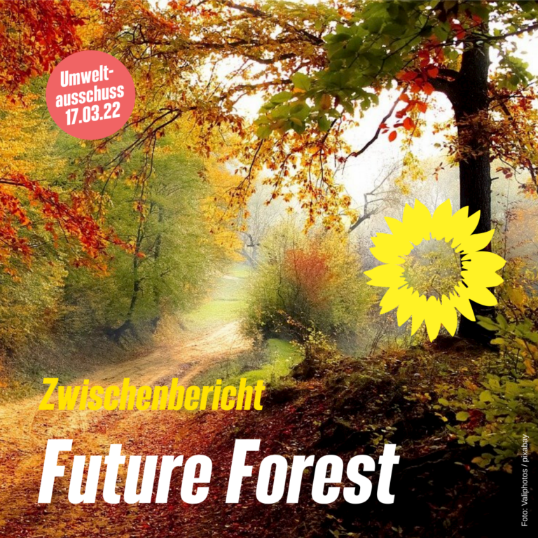 Future Forest ein Zwischenbericht